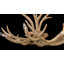 Lustre 6 lumières Daniels-1492829019