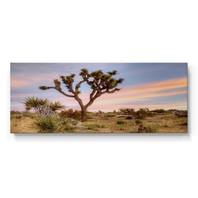 Joshua Tree Sunrise- Gallery Wrapped Canvas -Ready to Hang