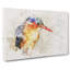 Exquisite Kingfisher Bird - Wrapped Canvas Print-56658195