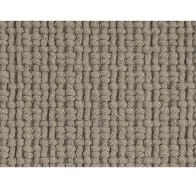 Rani Hand Loomed Area Rug in Beige, Rectangle 10' x 14'