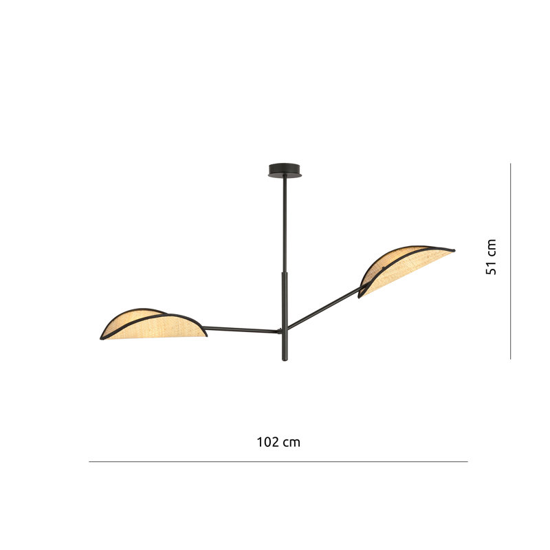 2 - Light Chandelier, Brown