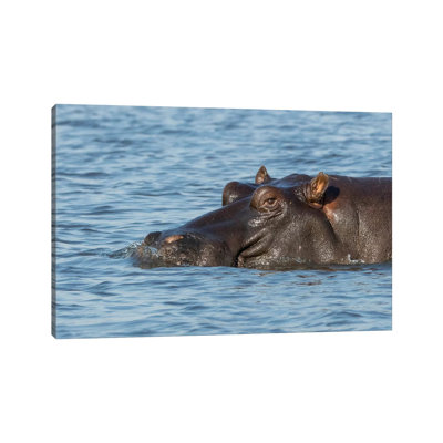 Africa, Botswana, Chobe National Park by Jaynes Gallery - Wrapped Canvas Print