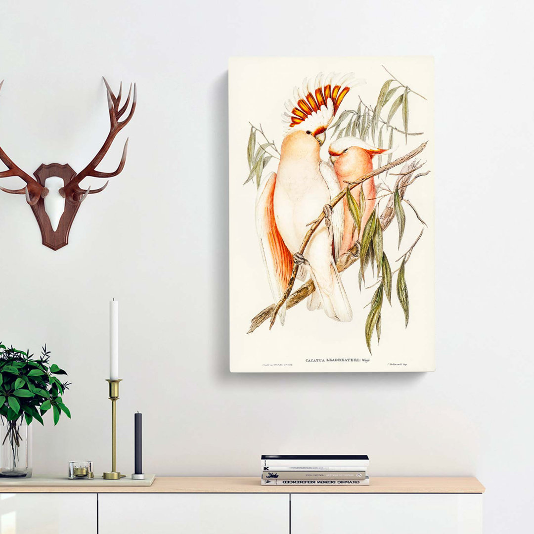 Leadbeaters Cockatoos by Elizabeth Gould - Wrapped Canvas