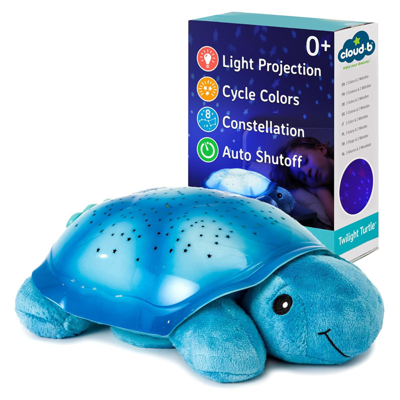 Tortue du crépuscule