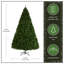 14 Ft. North Valley Spruce Tree-1841505921