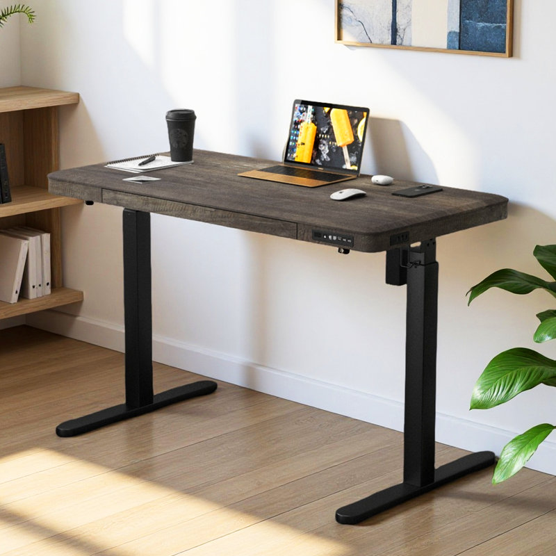 Caritta 48" Electric Height Adjustable Standing Desk with drawers, Gray Oak/Black