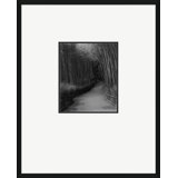 Zen Path Print by Carrier And Company