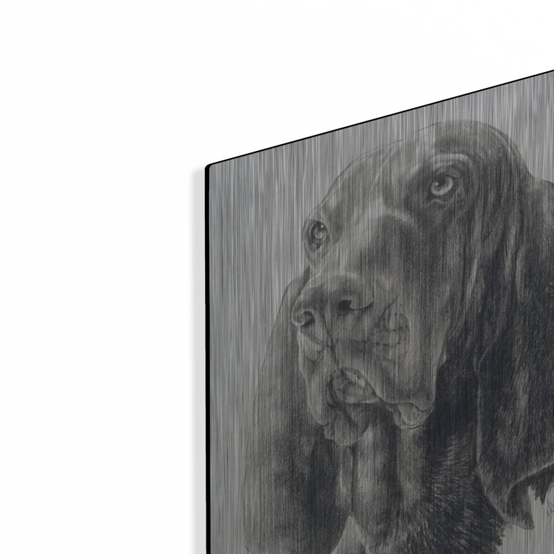 «Black & Tan Coonhound» par Barbara Keith, H 16 po x l 12 po