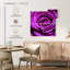 Harnek - rose mauve-109041118