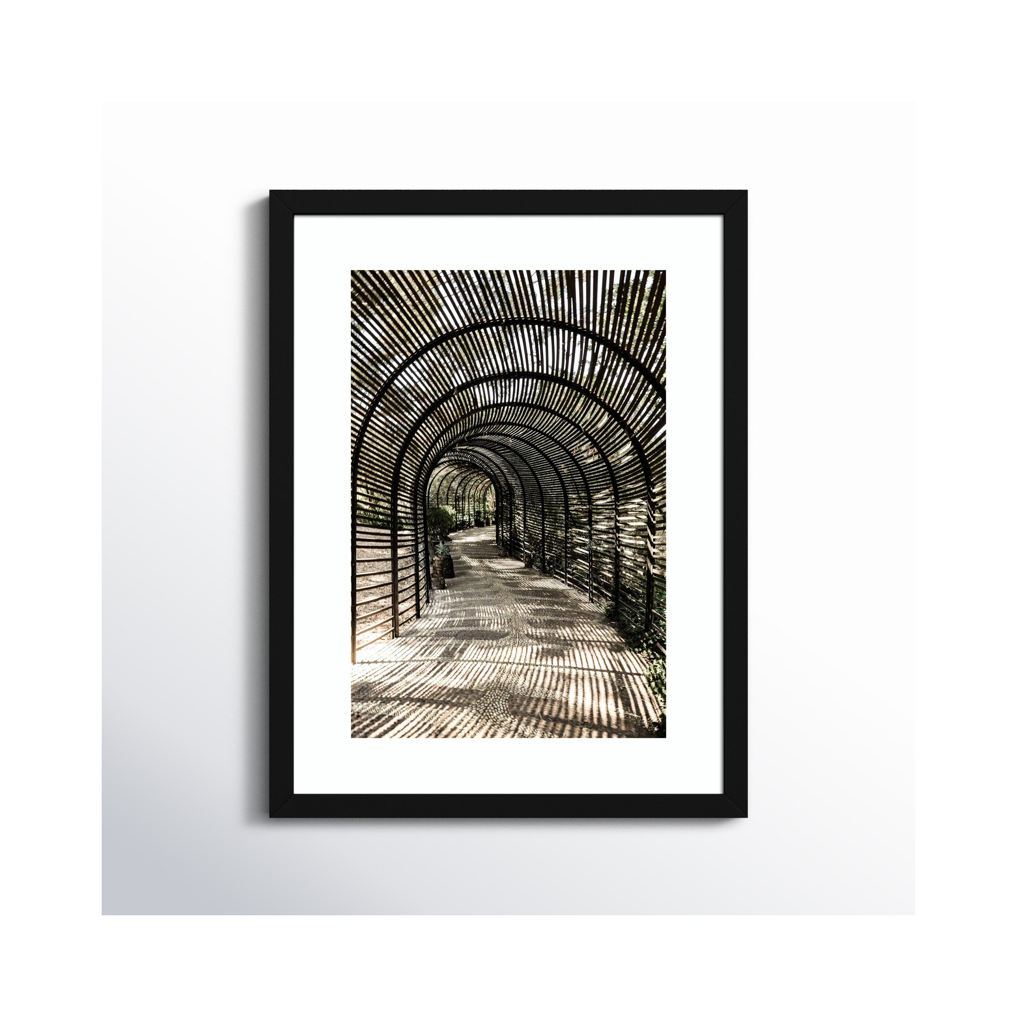 Shadow Garden by Shot by Clint Wood Framed Wall Art Print, Black , 21" H x 16" W
