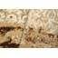Tapis unique bleu / brun 7 pi 10 po x 9 pi 10 po Kellyanna par Arshs Fine Rugs