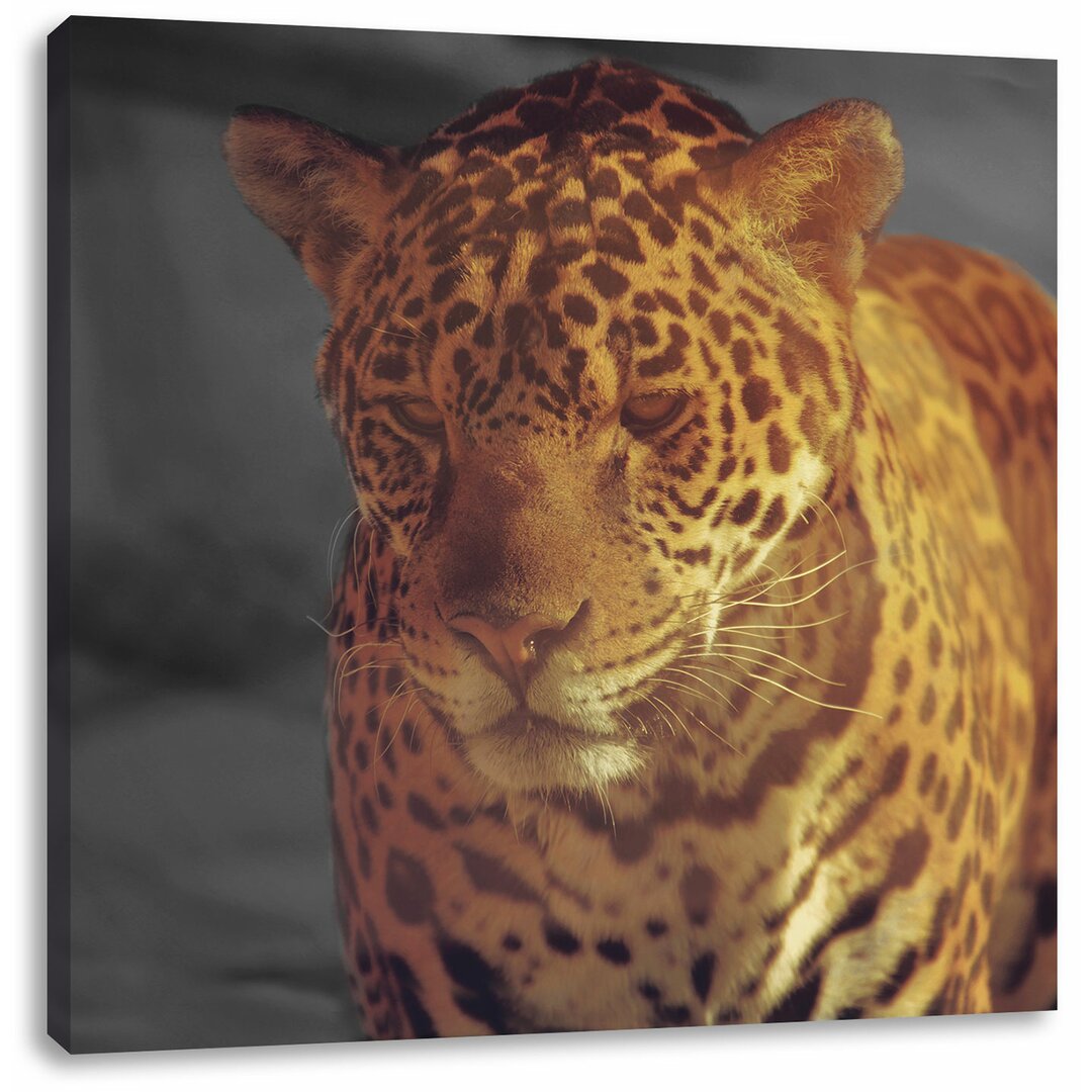 Leinwandbild Leopard