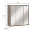 Rogin Wall Mounted Required Bathroom Cabinet