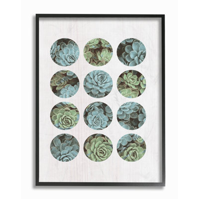 « succulent cercles », impression
