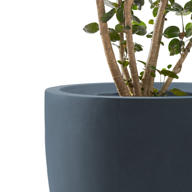 3-Piece Round Concrete Indoor/Outdoor Pot Planter Set , Charcoal, 18.5" H x 20" W x 20" W