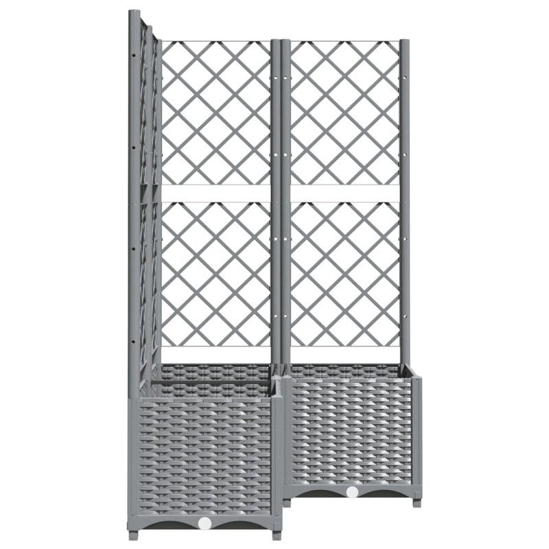 Chanique Raised Garden Bed with Trellis