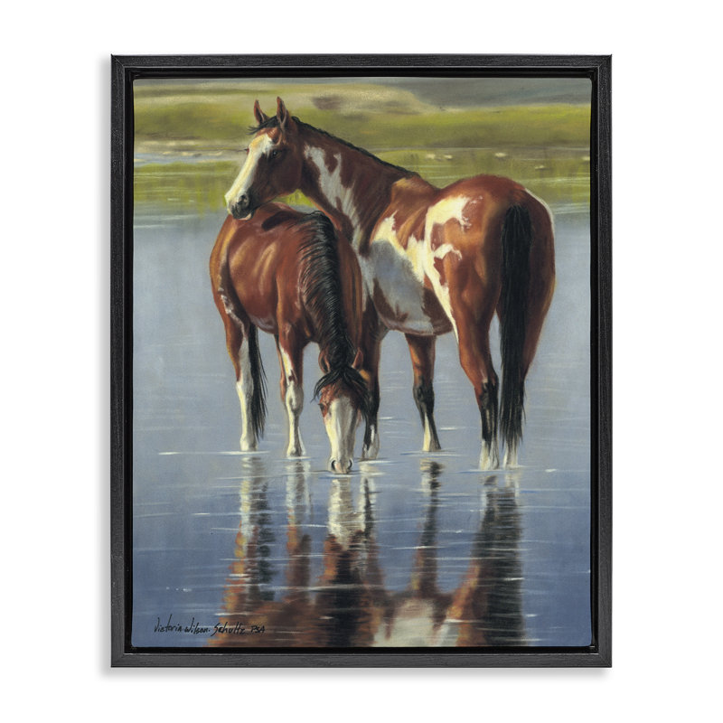 «Horse & Foal Splashing», art mural encadré par Victoria Schultz, Cadre flottant noir de jais, H 21 po x l 17 po