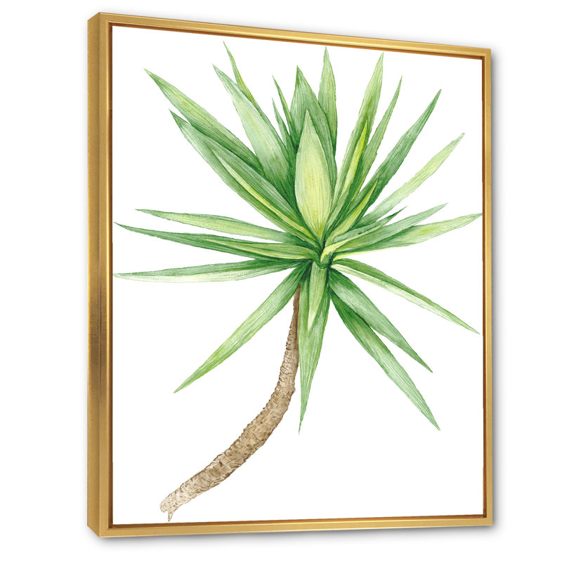 Détail d'un yucca - peinture sur toile, H 20 po x l 12 po x p 1 po, Cadre flottant doré
