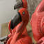 Muscogee Animals Figurines & Sculptures