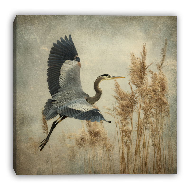 Marsh Flight Wrapped Canvas Wall Art, 20"W x 20"H x 1.5"D