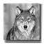 «Wolf» par PhotoINC Studio-744873266