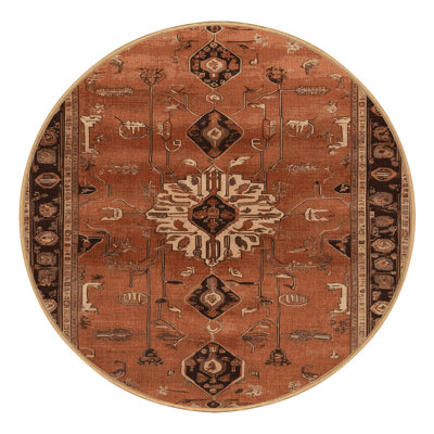 Machine Washable Persian Brown Area Rug