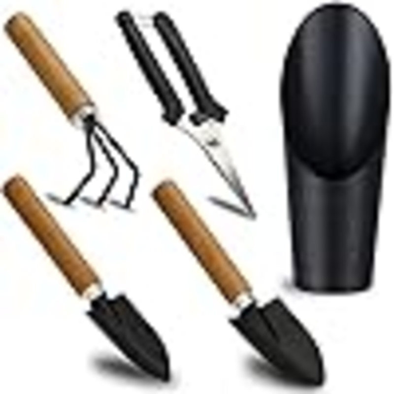 5 pièces de plantes grasses, mini outils de jardin, ciseaux de taille comme accessoires pour plantes, trousse d'outils de jardinage pour le sol des semis, plante grasse, plante d'intérieur, bonsi, cadeaux