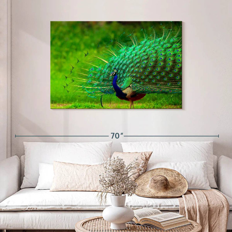 Plumage bleu paon bleu brillant, H 30 po x l 45 po