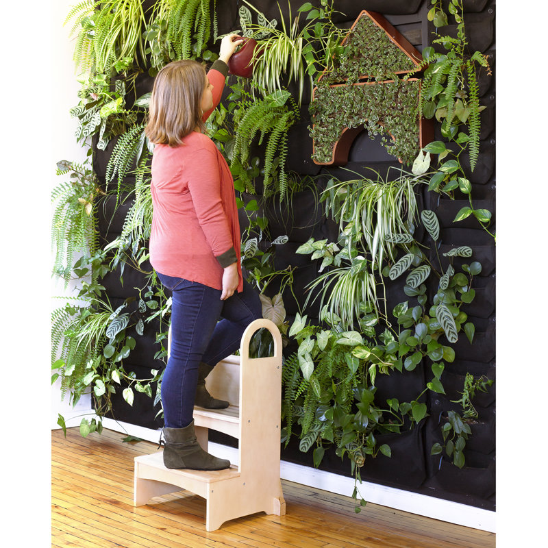 Escabeau domestique, Naturel