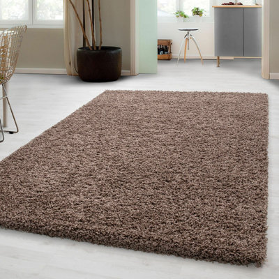 Emmie-Leigh Solid Colour Shag Area Rug