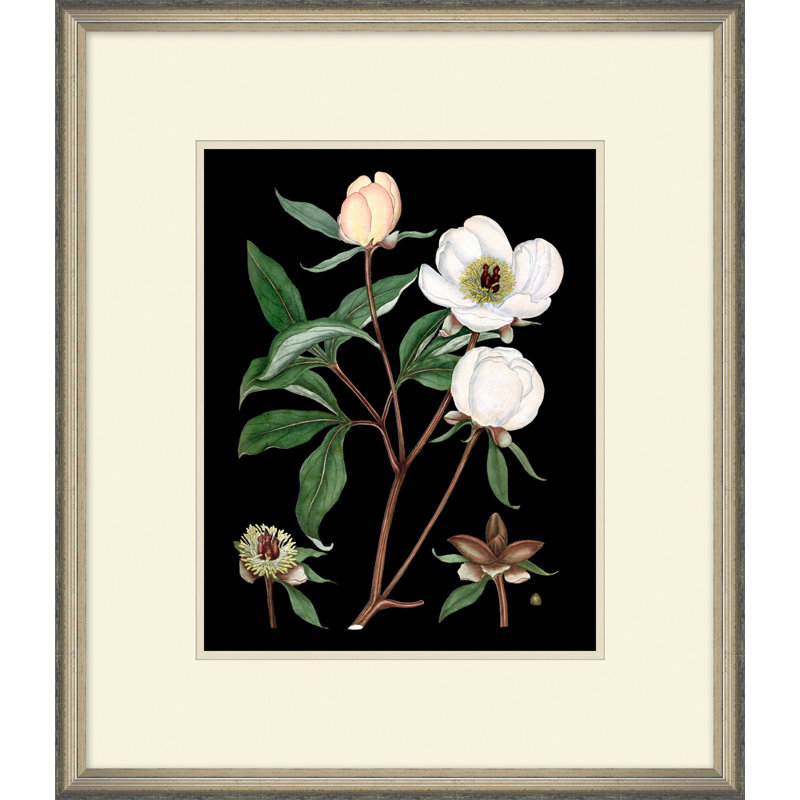 White Floral On Black 3 Painting