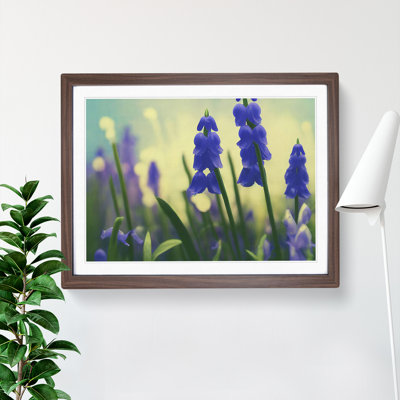 Bluebell Flower Vol.3 - Single Picture Frame Print