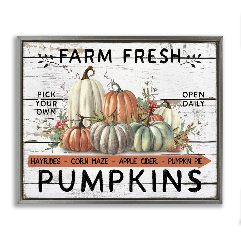 «Fresh Pumpkin Mound», estampe numérique encadrée par Creatif Belle, H 25 po x l 31 po, Cadre flottant gris lustré
