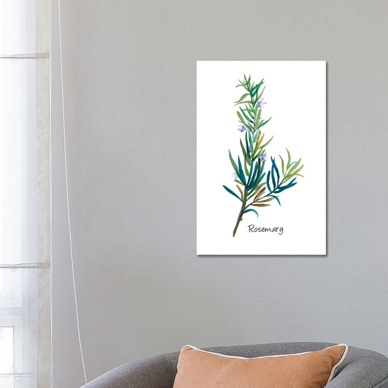 Rosemary I 1 Piece Wrapped Canvas Wall Art, 20.32 cm H x 30.48 cm W x 1.91 cm D
