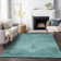 Premium Machine Washable Kiyondrea Teal Rug