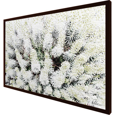 Single Picture Frame Print