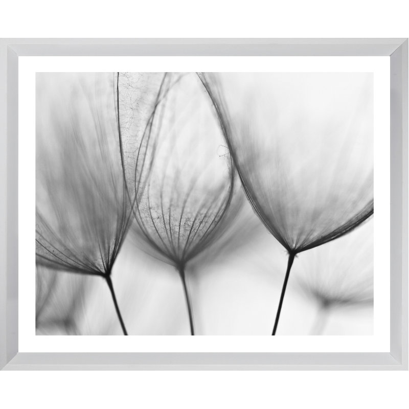 Dandelions Scandi - Single Picture Frame Print, 136.652 cm H x 111.252 cm W, Matt White