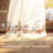 Risabh Sheer Curtain