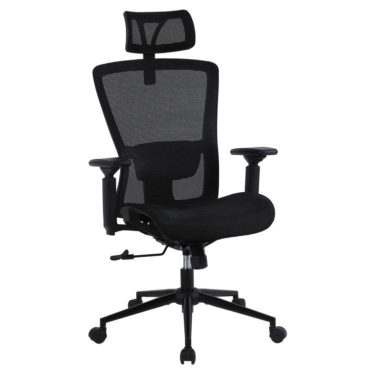 https://assets.wfcdn.com/im/09039041/resize-h755-w755%5Ecompr-r85/2479/247948176/Hydle+High+Back+Mesh+Ergonomic+Office+Chair+Swivel+Desk+Chair+Computer+Chair+with+3D+Adjustable+Arms.jpg
