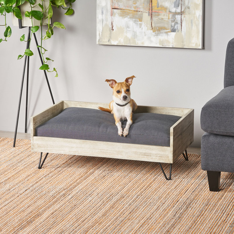 Canapé pour chien moderne Mid-Century Kaylor, Gris clair / noir / gris