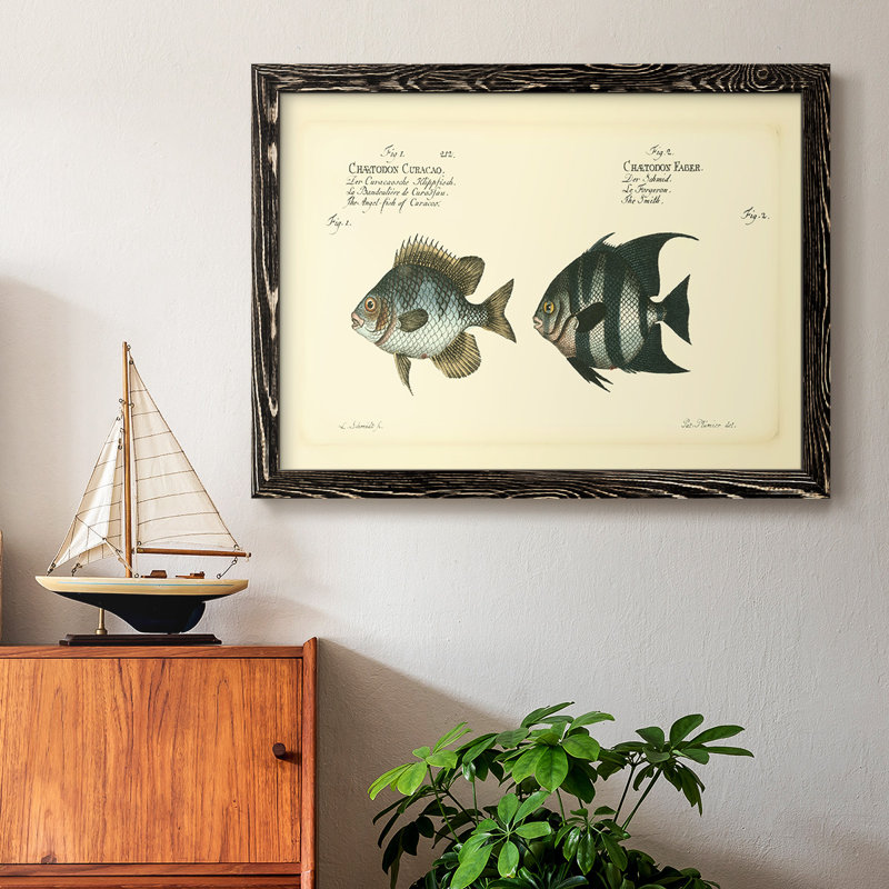 Bloch poisson antique II, Noir, H 22 po x l 32 po x P 1,5 po