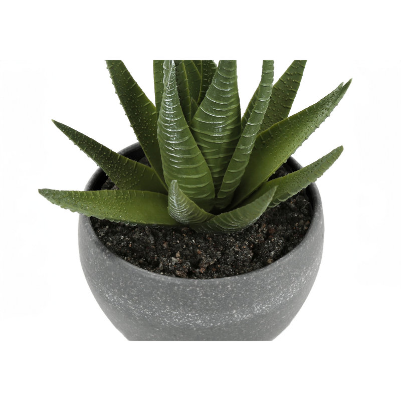 Set of 3 Green Faux Succulent Plants in Gray Pots