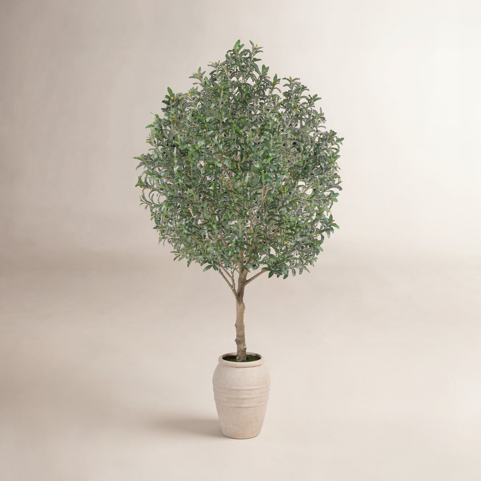 Olive Tree in Pot, 108" x 60"