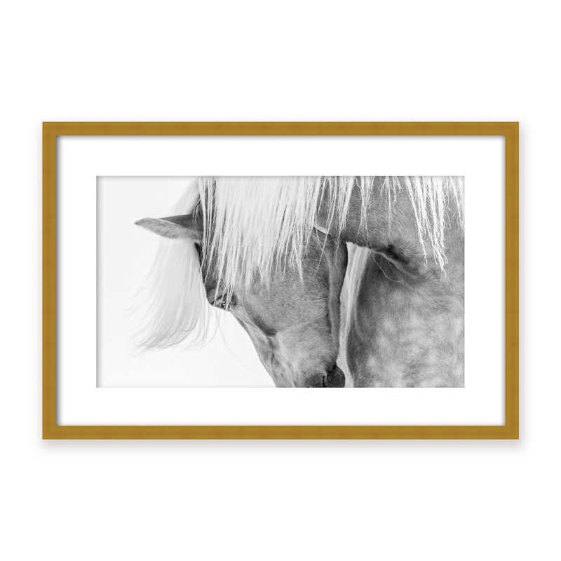 Nature Inspired Halflinger Portrait by  - Picture Frame Photograph on Paper, 24" H x 36" W x 1.125" D, Black