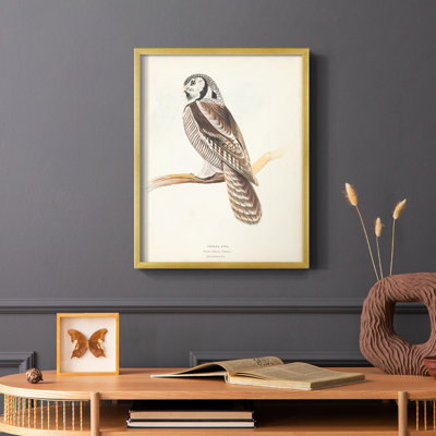 Reproduction encadrée Canada Owl - bois massif