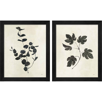 «Botanical Study B» par Julia Purinton, art encadré (ensemble de 2)