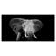 Artistique éléphant - impression sur toile tendue-29495662