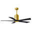 Patricia LED Downrod Ceiling Fan-1952218702-1922835873