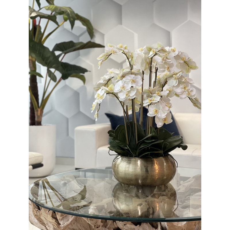 Centre de table orchidée phalaenopsis dans un vase, Blanc