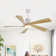 52" 5-Blade Modern LED Ceiling Fan with Light Kit and Remote Control